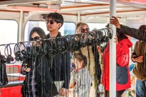 San Francisco: Golden Gate Bay Cruise (1-hour) - The 1-hour route: waterfront landmarks in a tight, scenic loop
