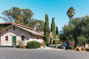 San Francisco: Half-Day Wine Country Excursion with Tastings - Barrel room and winemaking talk: what you actually learn