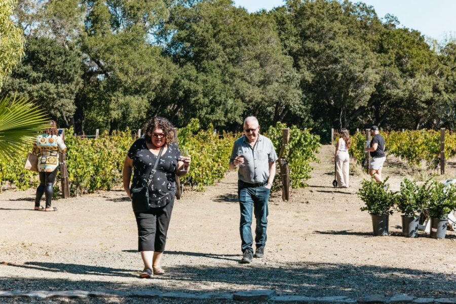 San Francisco: Half-Day Wine Country Excursion with Tastings - Should you book this San Francisco wine country excursion?