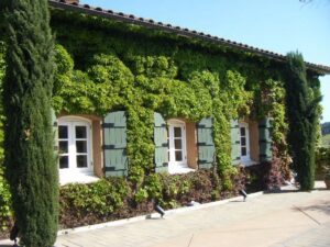 San Francisco: Half-Day Wine Country Tour with Wine Tastings - Sausalito and Marin County: quick scenic stops, not long detours