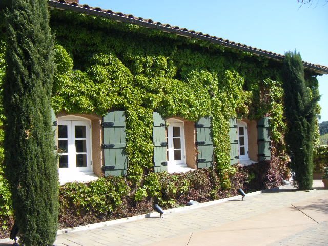 San Francisco: Half-Day Wine Country Tour with Wine Tastings - Sausalito and Marin County: quick scenic stops, not long detours