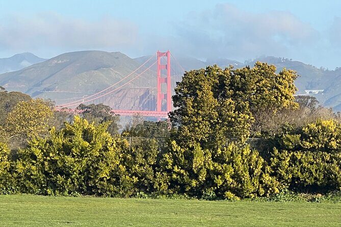 San Francisco: Major Landmarks Private Sightseeing Tour - How the 4-hour schedule actually plays out in a car