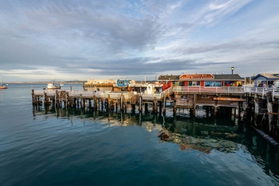 San Francisco: Monterey and Carmel Tour - Key things you’ll notice on this tour