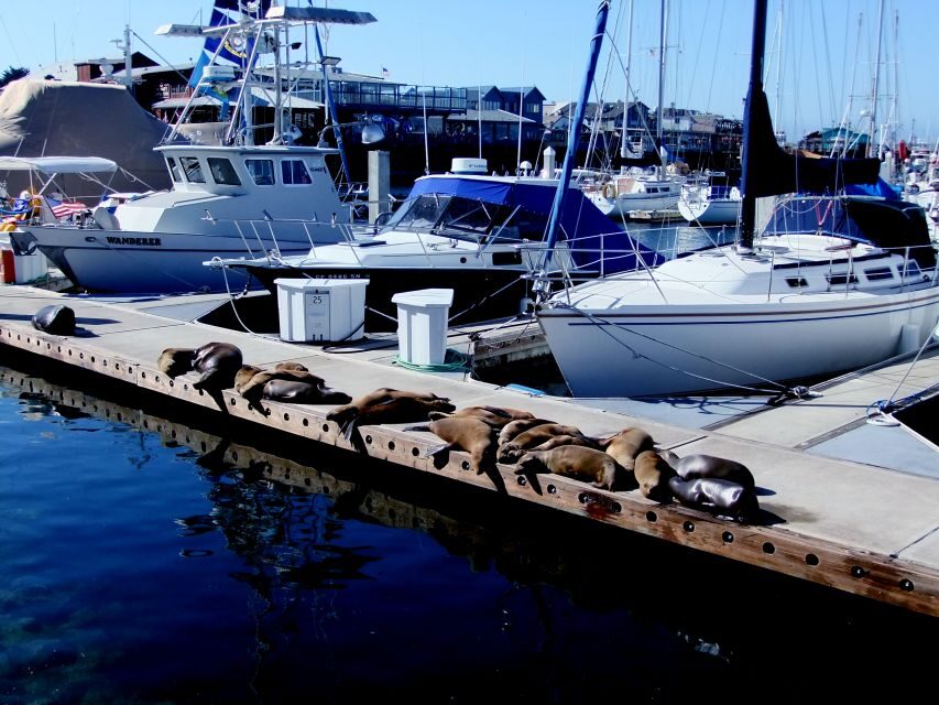San Francisco: Monterey and Carmel Tour - Should you book this San Francisco to Monterey and Carmel Tour?