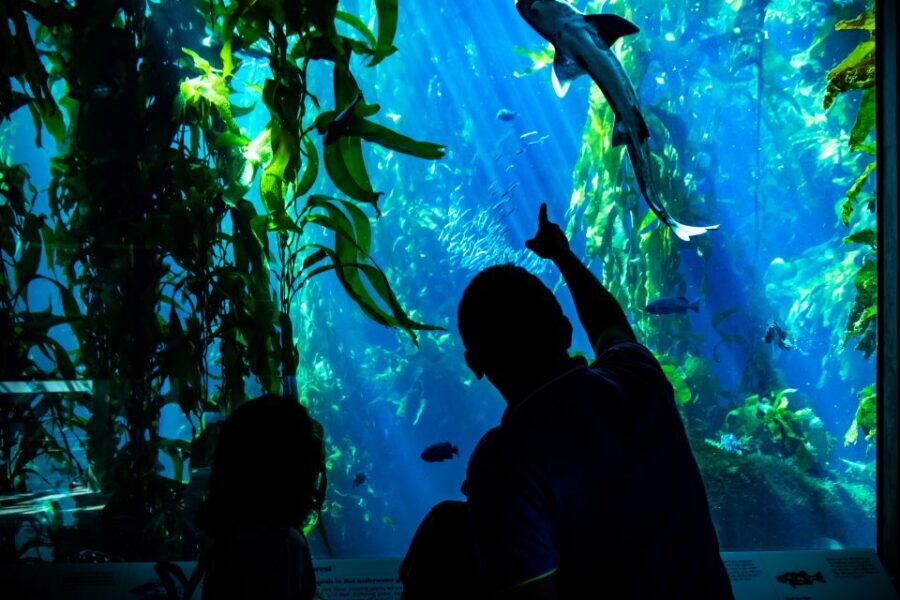 San Francisco: Monterey and Carmel Tour - FAQ