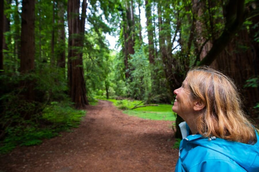 San Francisco: Morning Muir Woods & Sausalito Tour w/ Ferry - Who This Tour Is Best For (and Who Should Skip)