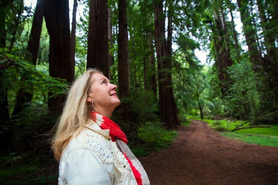 San Francisco: Morning Muir Woods & Sausalito Tour w/ Ferry - The Included Ferry Ride: A Scenic Reset Over the Bay