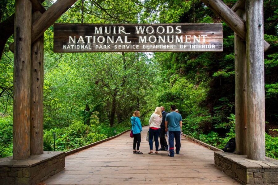 San Francisco: Morning Muir Woods & Sausalito Tour w/ Ferry - Logistics You Should Actually Plan For
