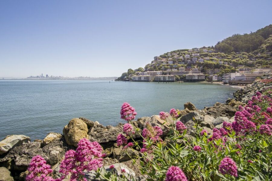 San Francisco: Muir Woods and Sausalito Experience - Golden Gate Bridge and city sights: more than a single postcard view