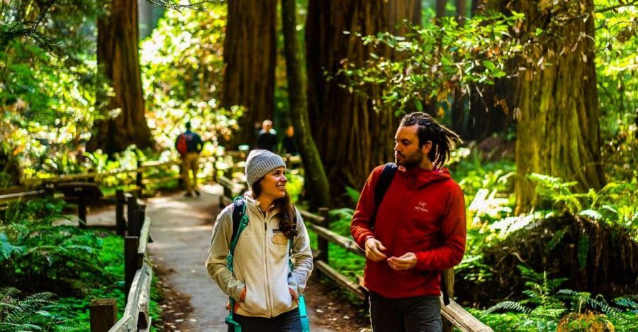 San Francisco: Muir Woods and Sausalito Half-Day Trip - Key points to know before you go