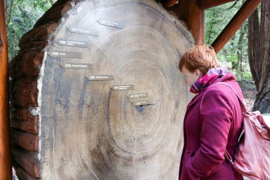 San Francisco: Muir Woods and Sausalito Half-Day Trip - Value for money: is $95 worth it for 5 hours?