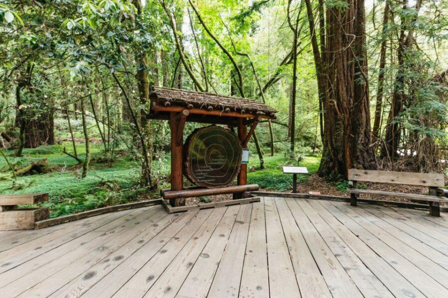 San Francisco: Muir Woods and Sausalito Small Group Tour - Key things to know before you go