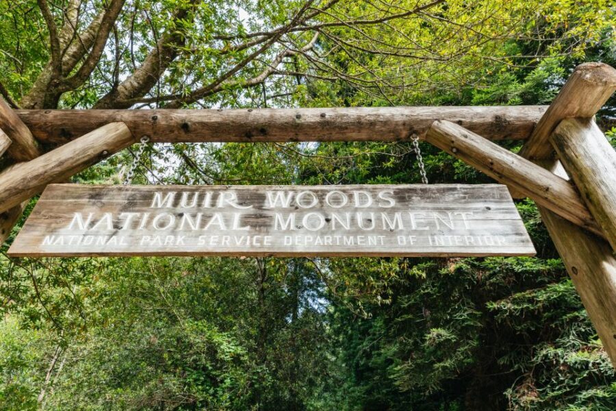 San Francisco: Muir Woods and Sausalito Small-Group Tour - Should you book this Muir Woods and Sausalito small-group tour?