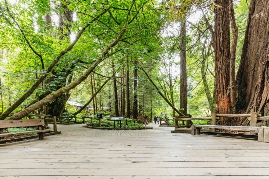 San Francisco: Muir Woods and Sausalito Small Group Tour - Golden Gate Bridge photo stop: more than a quick glance