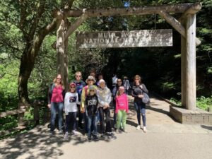 San Francisco: Muir Woods and Sausalito Small Group Tour - The drive through Marin Headlands: setting up the redwoods