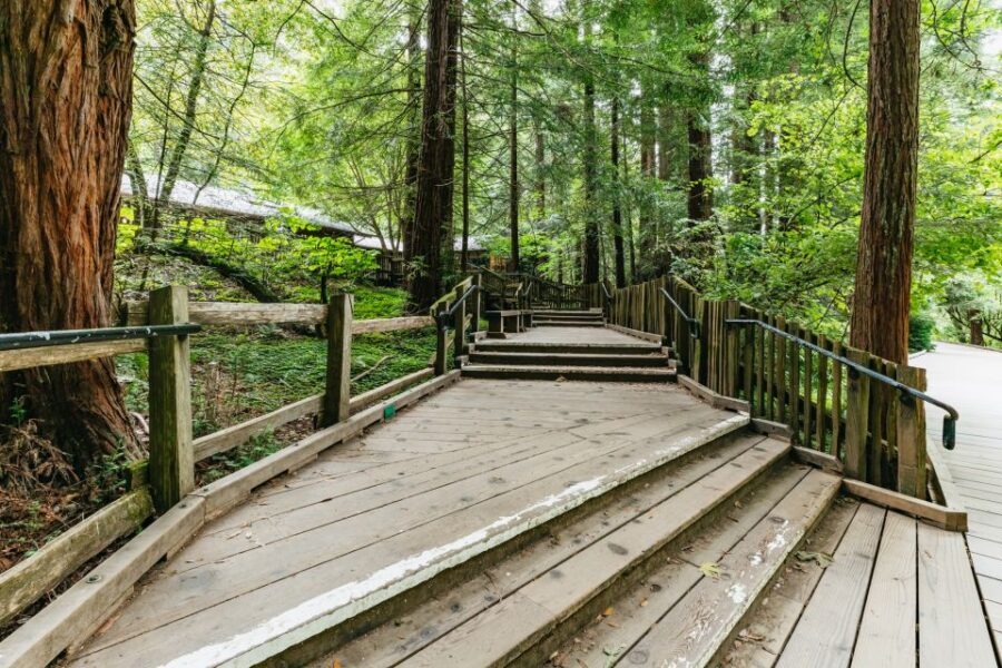 San Francisco: Muir Woods and Sausalito Small Group Tour - Should you book this Muir Woods and Sausalito small-group tour?