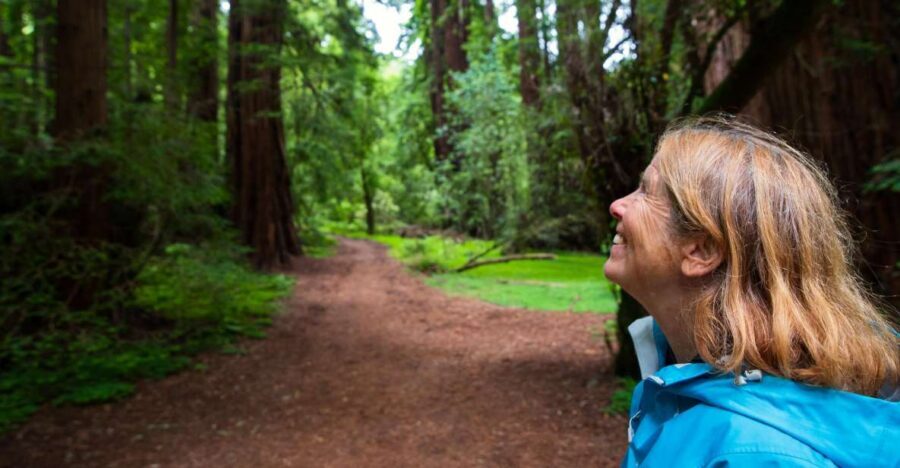 San Francisco: Muir Woods and Sausalito Tour with Admission - Key highlights to know before you go