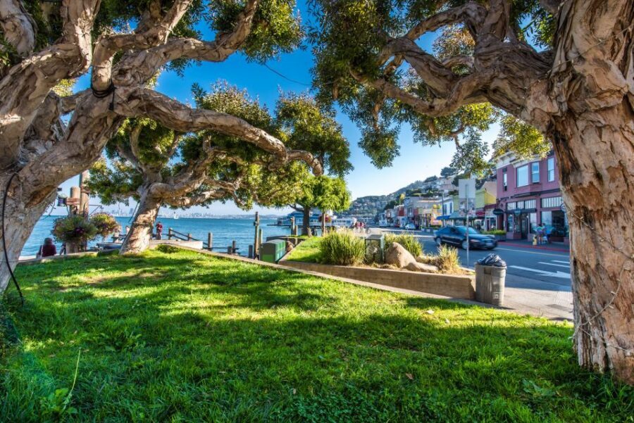 San Francisco: Muir Woods, San Francisco and Sausalito Tour - Key things that make this tour work