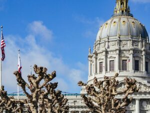 San Francisco: Muir Woods, San Francisco and Sausalito Tour - Six photo stops that actually match the SF highlights