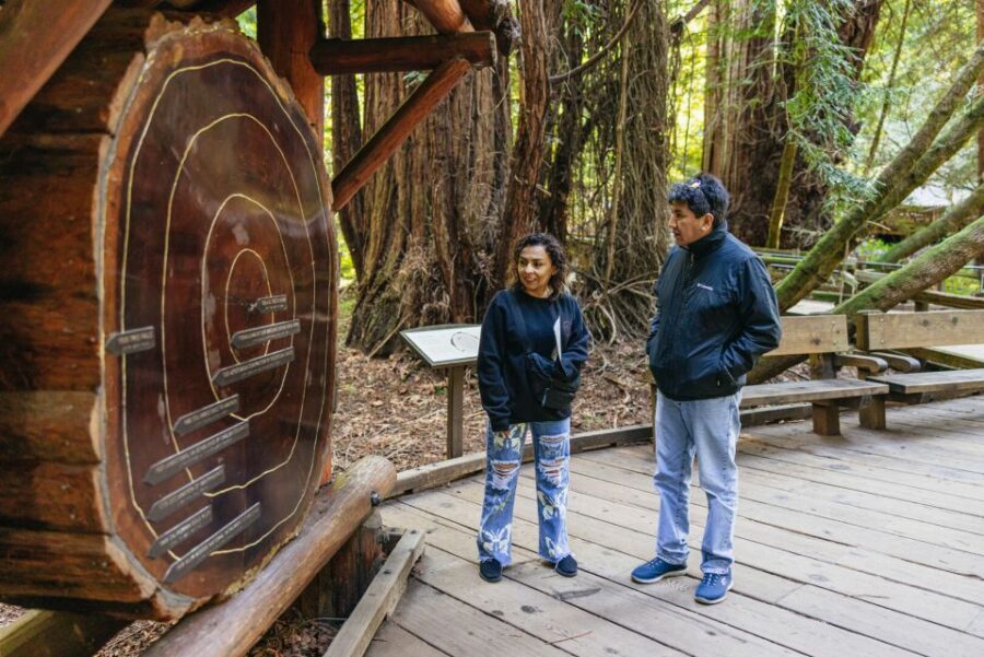 San Francisco: Muir Woods, Sausalito and SF Bay Cruise - Key Highlights Worth Booking For