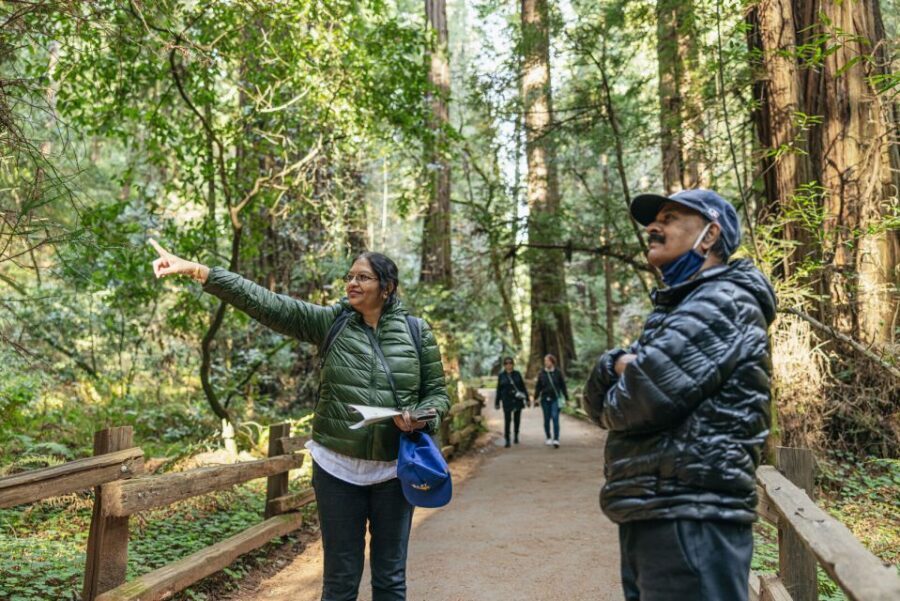 San Francisco: Muir Woods, Sausalito and SF Bay Cruise - Should You Book This San Francisco: Muir Woods, Sausalito and Bay Cruise?