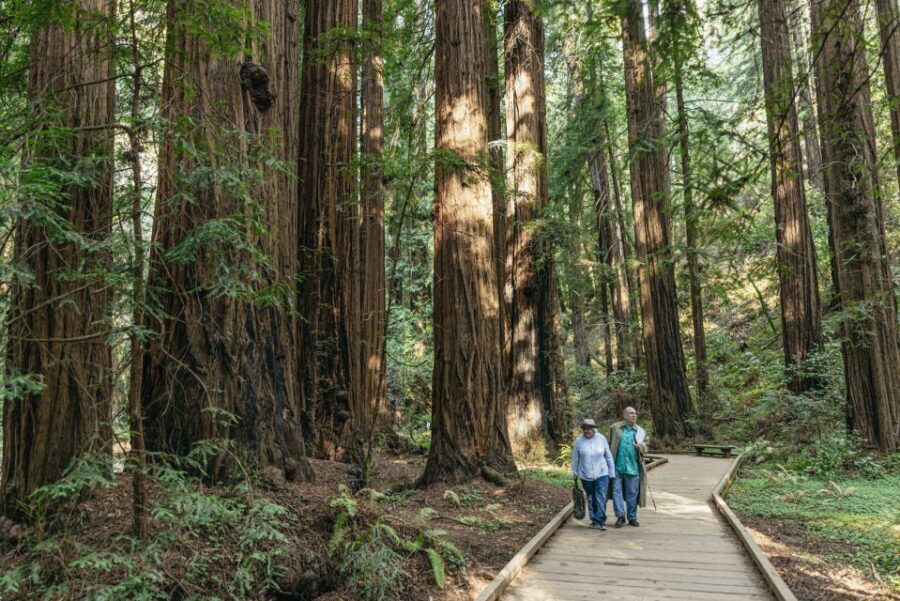 San Francisco: Muir Woods, Sausalito and SF Bay Cruise - Who This Tour Fits Best
