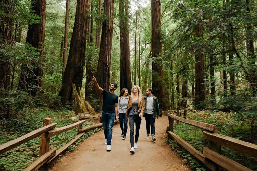 San Francisco: Muir Woods & Sausalito Tour w/Alcatraz Option - How this one-day loop makes San Francisco easier