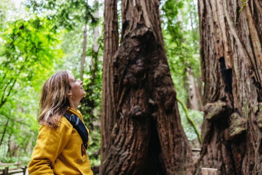 San Francisco: Muir Woods & Sausalito Tour with Ferry Option - Key Highlights That Matter in Real Life