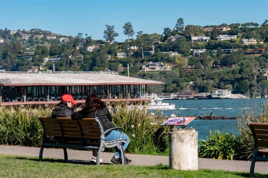 San Francisco: Muir Woods & Sausalito Tour with Ferry Option - Price and Value: Is $99 Actually Fair?