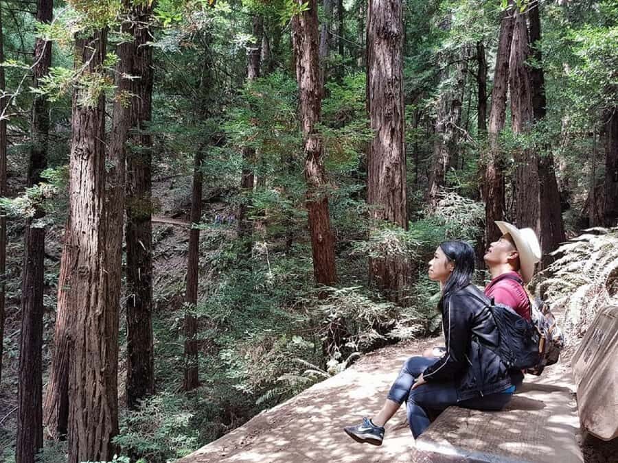 San Francisco: Muir Woods Tour & Golden Gate Bay Cruise - From the Golden Gate to the redwood canyon: the road trip vibe