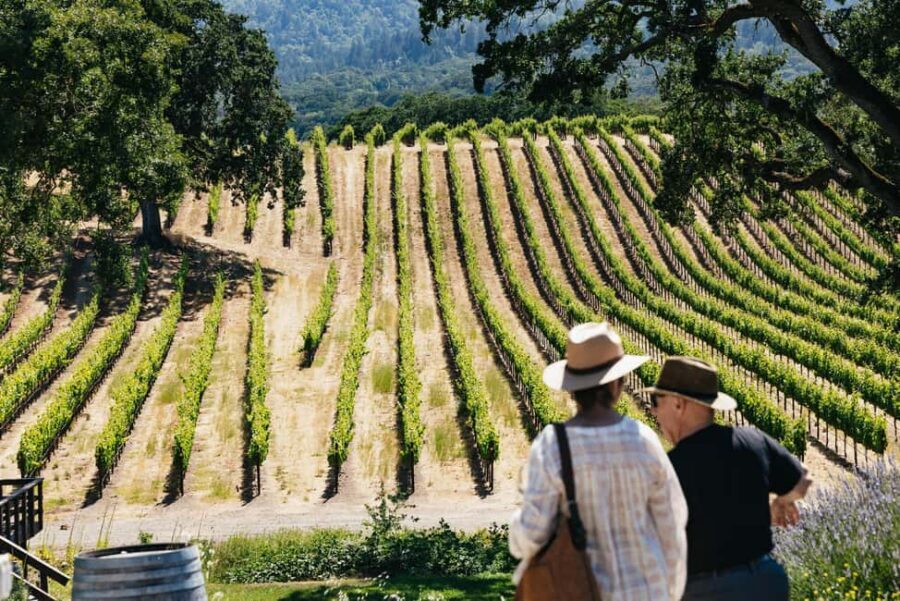 San Francisco: Napa and Sonoma Valley Wine Tour - Key highlights that make this tour worth your time
