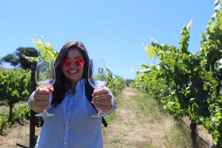 San Francisco: Napa and Sonoma Valley Wine Tour - How the day trip pacing really feels from San Francisco