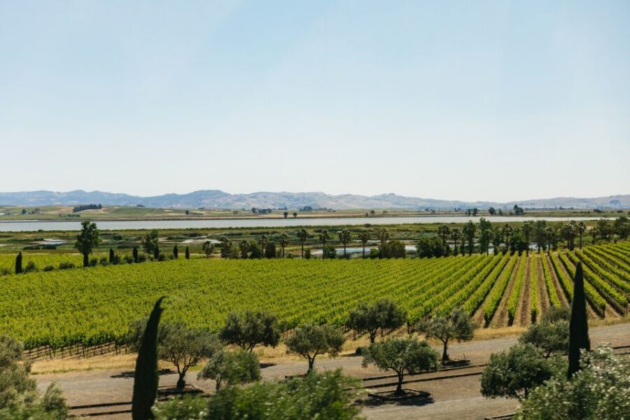San Francisco: Napa and Sonoma Valley Wine Tour - Price and value: is $163 a good deal for Napa and Sonoma?