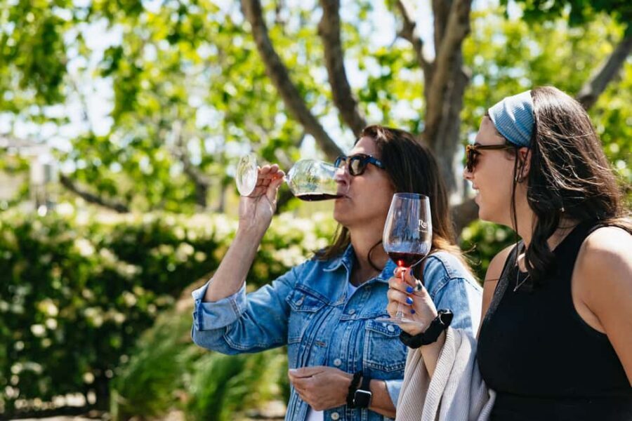 San Francisco: Napa and Sonoma Valley Wine Tour - Golden Gate Bridge stop: the quick win before the wine begins