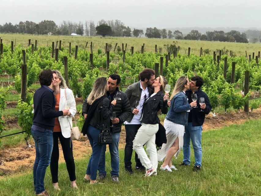 San Francisco: Napa Valley Half-Day Wine Tour with Tastings - Golden Gate to Napa: the payoff of the half-day format