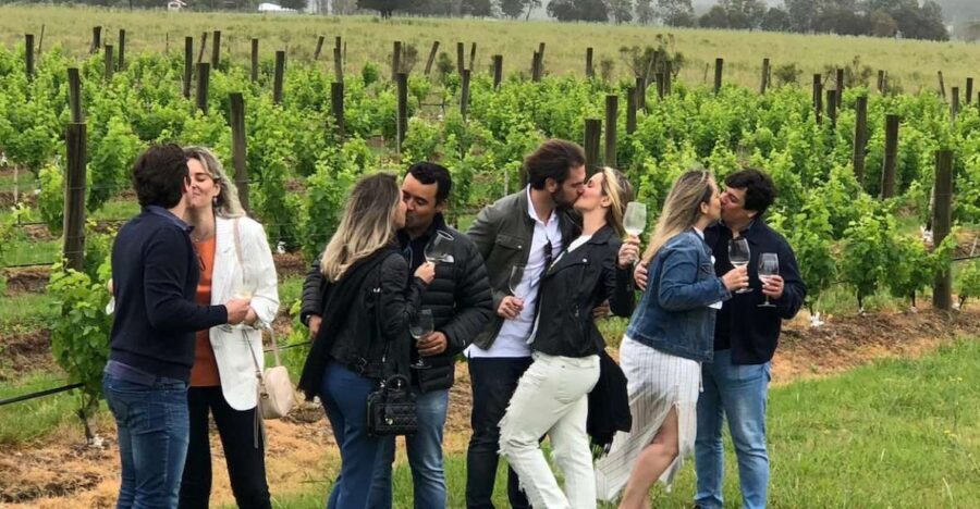 San Francisco: Napa Valley Half-Day Wine Tour with Tastings - Over the bridge and through Sausalito before your first pour