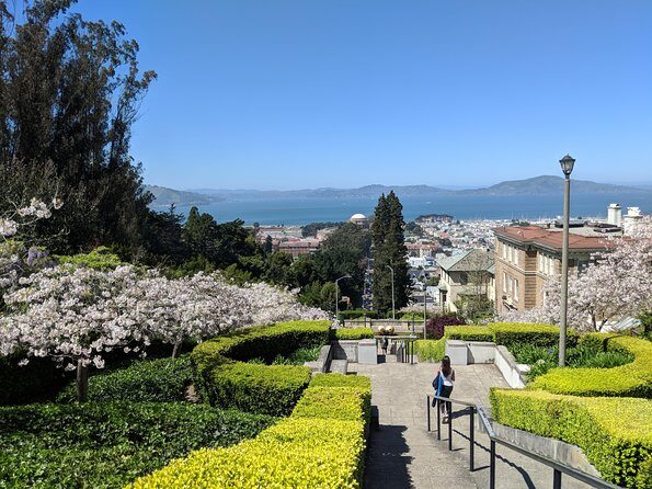 San Francisco Private City Tour - The Wharf plus Marina: where families naturally want to linger