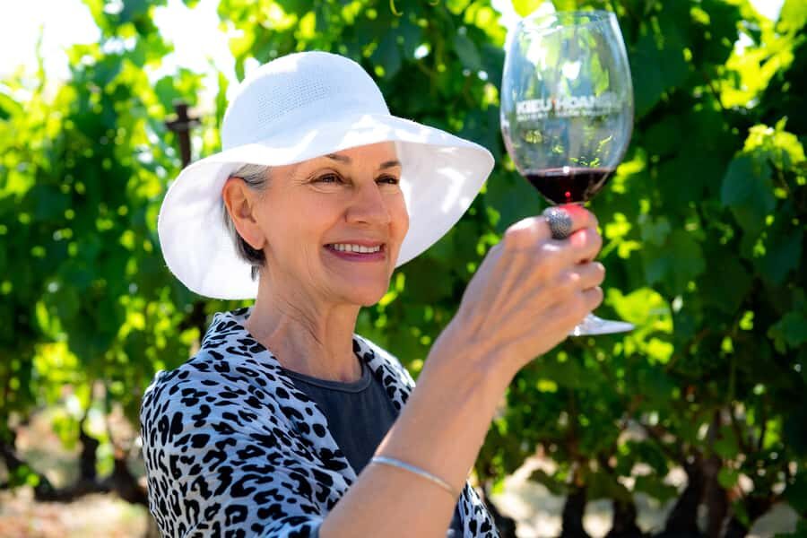 San Francisco: Redwood & Wine Country Tour with Lunch & Wine - Transportation Comfort: Wi‑Fi, Audio Guides, and Live English Commentary