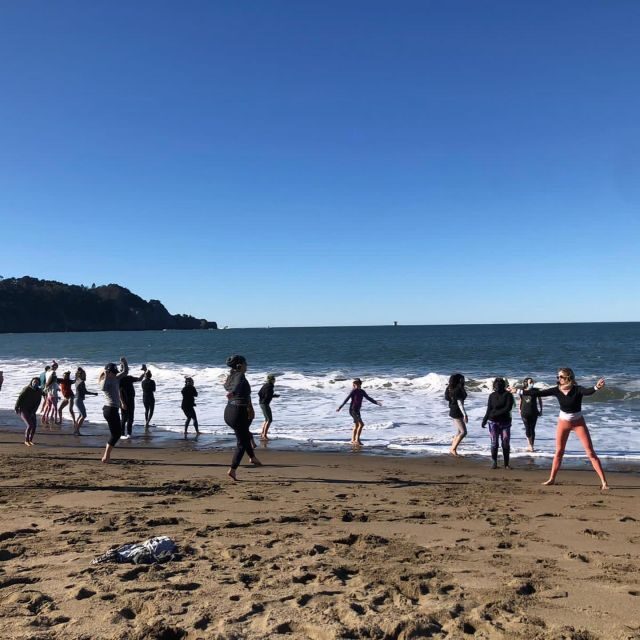 San Francisco: Silent Disco Yoga at Baker Beach - Wildlife moments and why they make this feel real