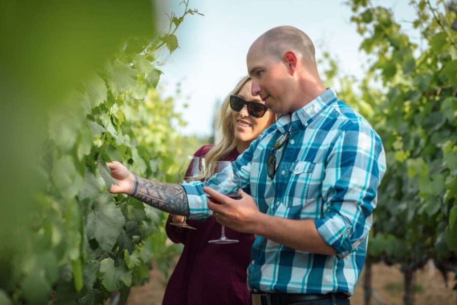 San Francisco: Sonoma Wine Country Tour with Tastings - Key Things That Make This Sonoma Tour Worth Your Time