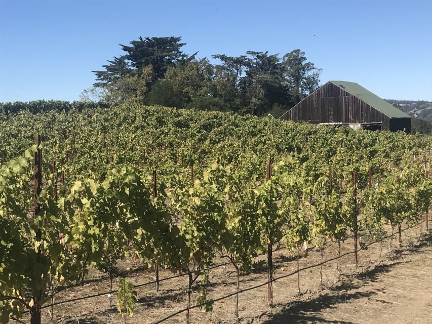 San Francisco: Sonoma Wine Country Tour with Tastings - Practical tips for a smoother day in Sonoma