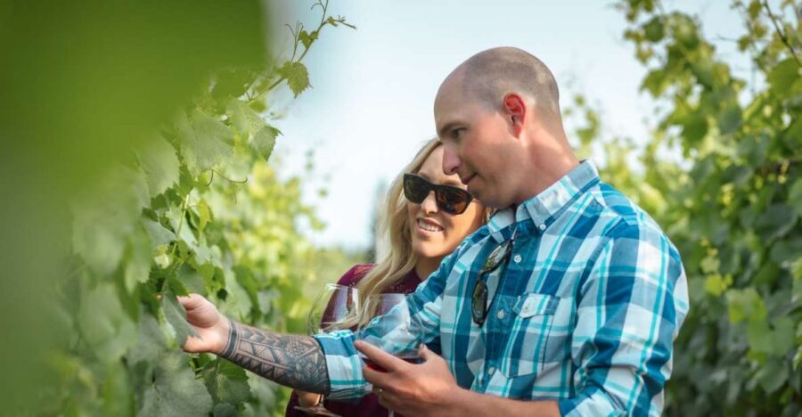 San Francisco: Sonoma Wine Country Tour with Tastings - The three winery tastings: how boutique wineries make the lesson stick