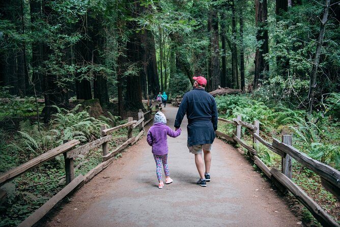 San Francisco Super Saver: Muir Woods & Wine Country w/ optional Gourmet Lunch - Morning pickup and the Golden Gate Bridge run