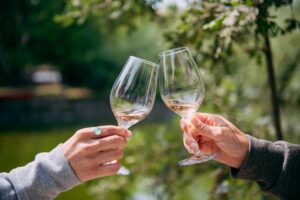 San Francisco Super Saver: Muir Woods & Wine Country w/ optional Gourmet Lunch - Muir Woods: how to make one hour feel like more