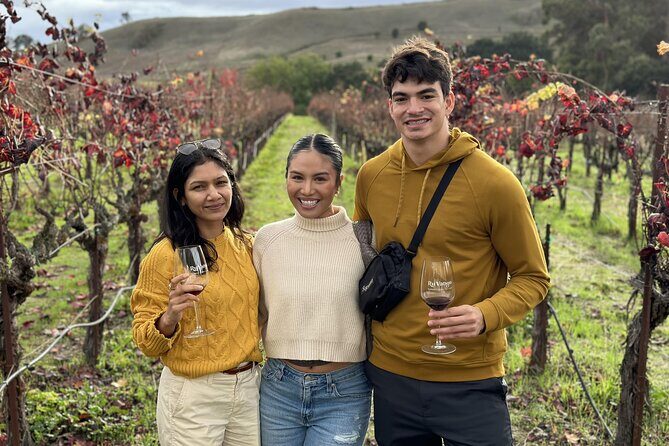 San Francisco Super Saver: Muir Woods & Wine Country w/ optional Gourmet Lunch - Wine country without the planning headache