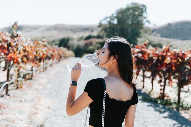 San Francisco Super Saver: Muir Woods & Wine Country w/ optional Gourmet Lunch - The gourmet lunch upgrade: what you’re actually buying