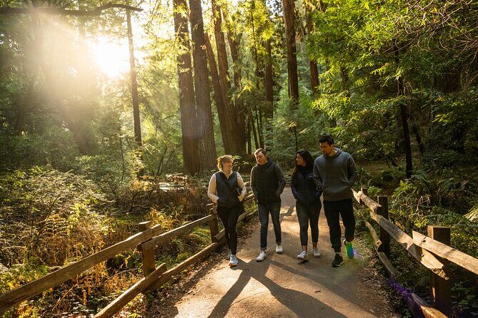 San Francisco to Muir Woods Shuttle - Sea lions, chowder, and ships: the SF warm-up stops