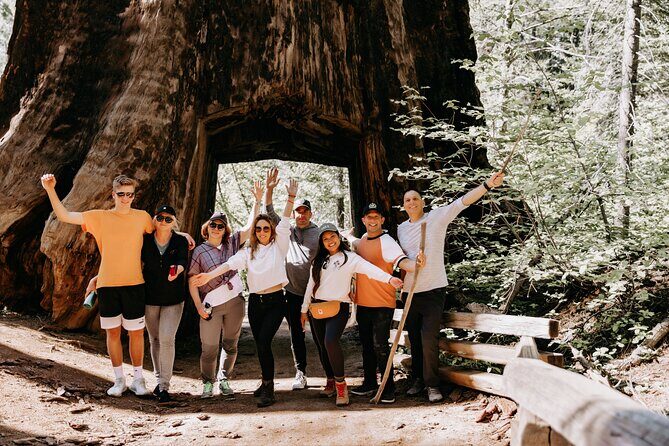 San Francisco to Yosemite One-Way Transfer - Key points to know before you go
