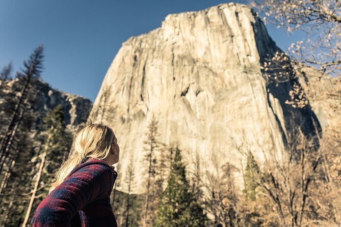 San Francisco to Yosemite One-Way Transfer - Pickup timing in San Francisco: why this starts so early