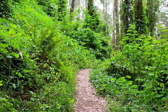 San Francisco Urban Hike: Castro and Twin Peaks - Twin Peaks summit: the big views and the reason you booked this hike